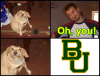 Oh, you - Baylor.png