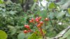 20150813_112616.jpg