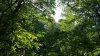 20150813_163553.jpg