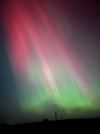 IMG_2916.jpeg