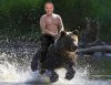 charteronabear.jpg