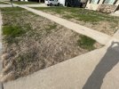 IMG_1969.jpeg