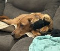 IMG_1932.jpeg