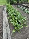 IMG_0619.jpeg