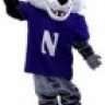 WillieWildcat